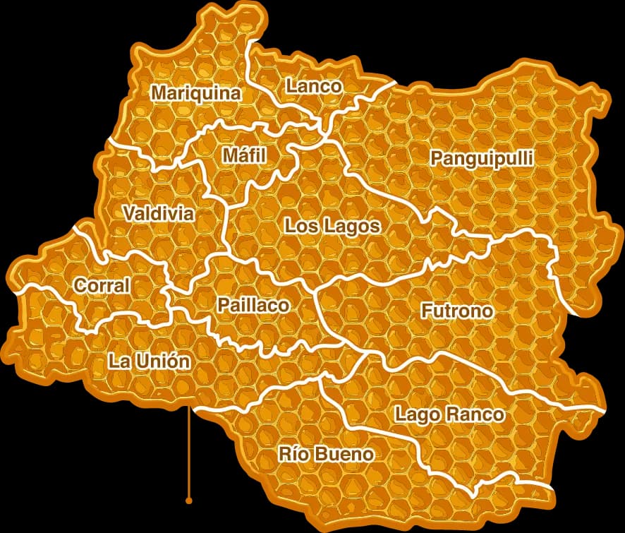 Mapa de la Región de Los Ríos con sus comunas